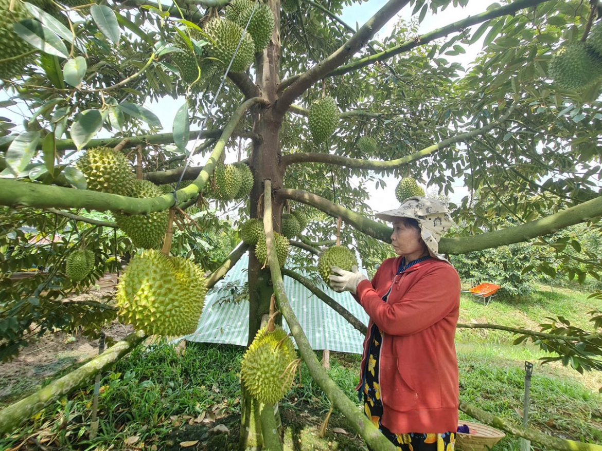 nang cao nang luc canh tranh cho hang xuat khau tu ap luc den hanh dong hinh anh 3