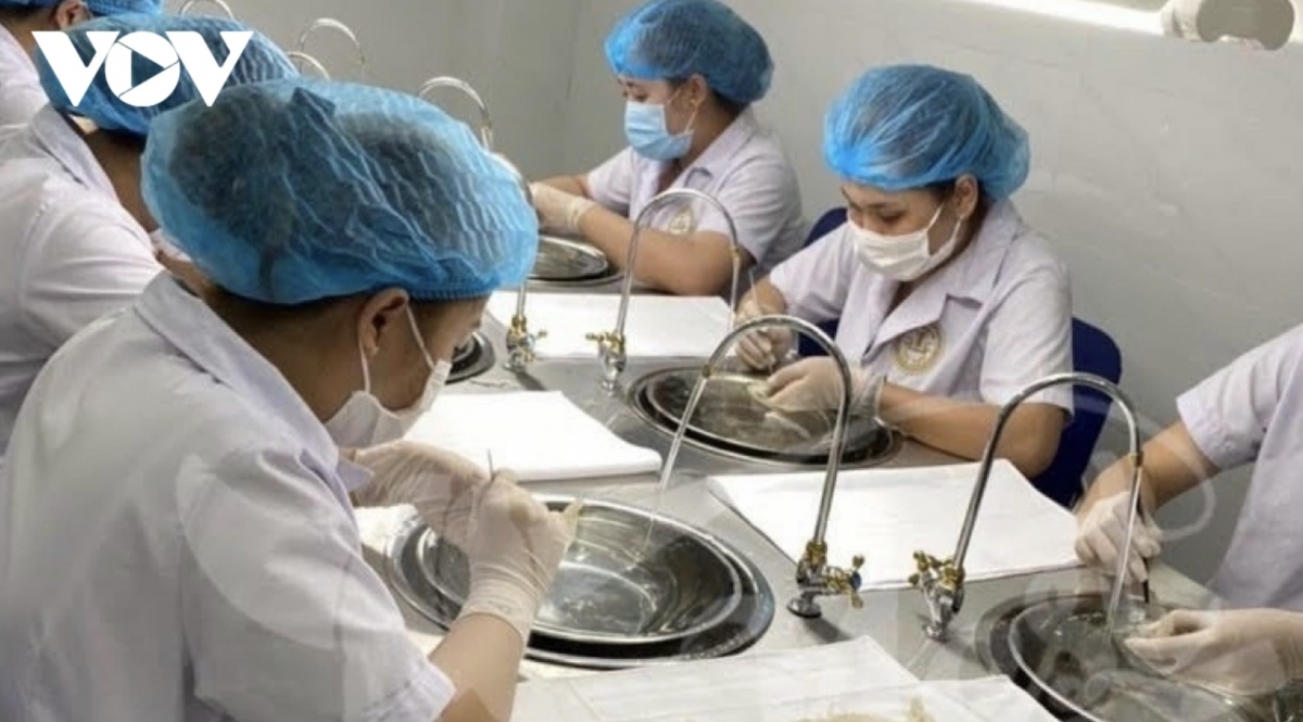 millions of made-in-vietnam bird s nest products sold to china picture 1 millions of made-in-vietnam bird s nest products sold to china picture 1
