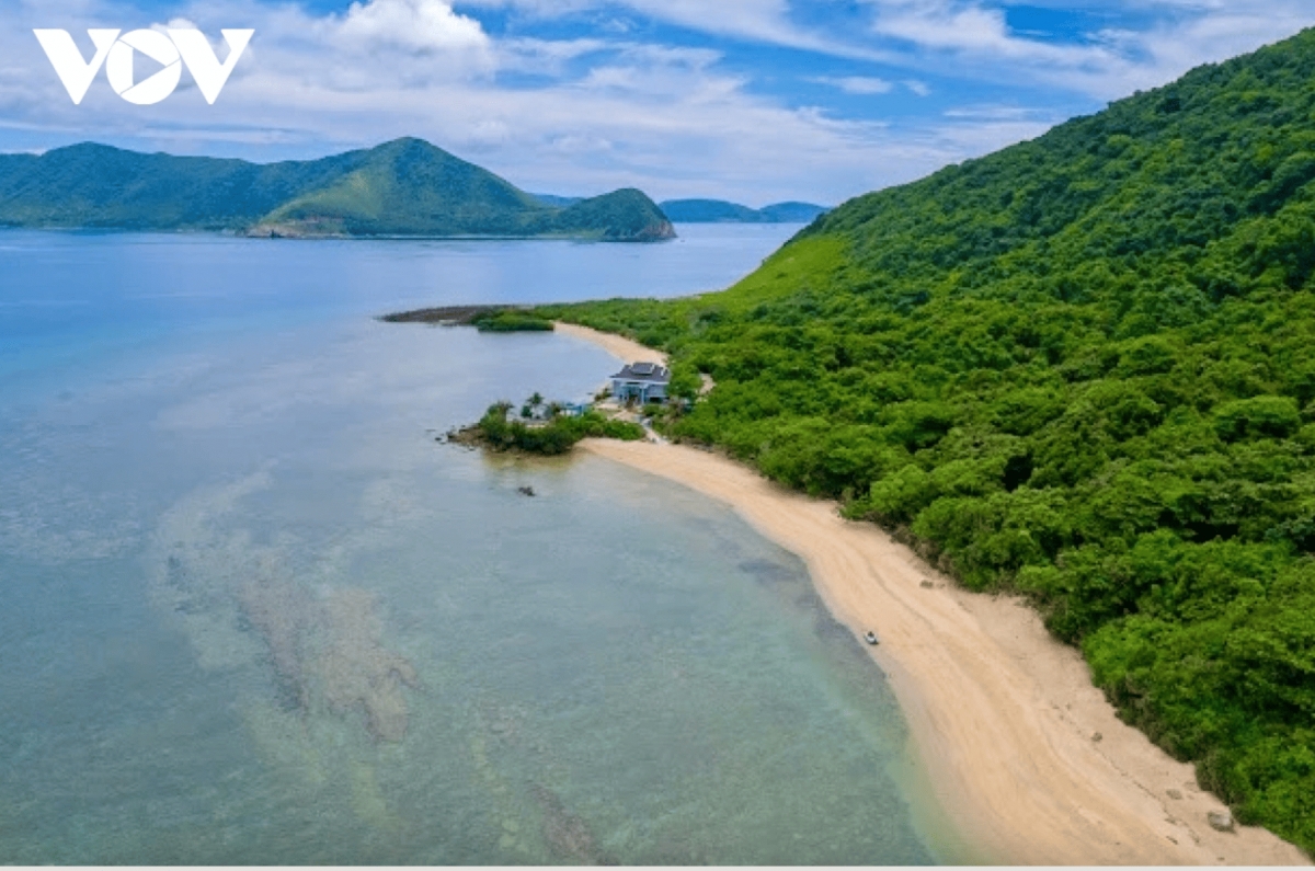 discover the unspoiled beauty of con dao s forest sea ecosystem picture 1 discover the unspoiled beauty of con dao s forest sea ecosystem picture 1