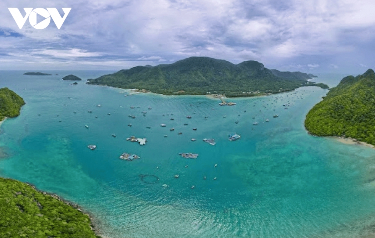 discover the unspoiled beauty of con dao s forest sea ecosystem picture 4 discover the unspoiled beauty of con dao s forest sea ecosystem picture 4