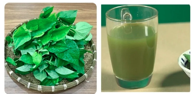 Những người không nên uống nước ép rau diếp cá