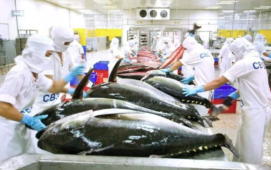ec postpones vietnam s seafood inspection until year end picture 1