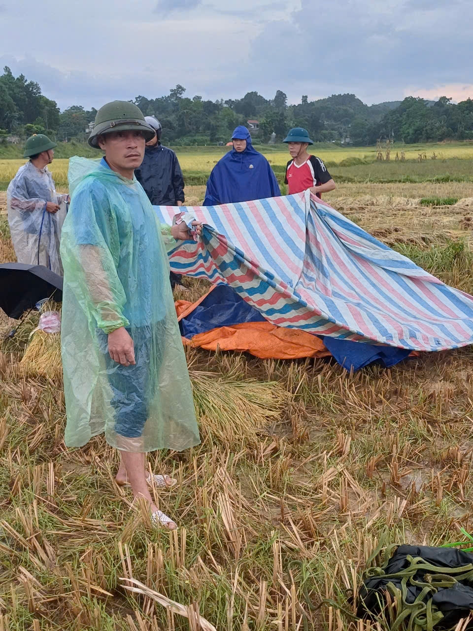 dung dien thoai xem camera giam sat, nguoi dan ong bi set tu vong tai ruong lua hinh anh 1 dung dien thoai xem camera giam sat, nguoi dan ong bi set tu vong tai ruong lua hinh anh 1