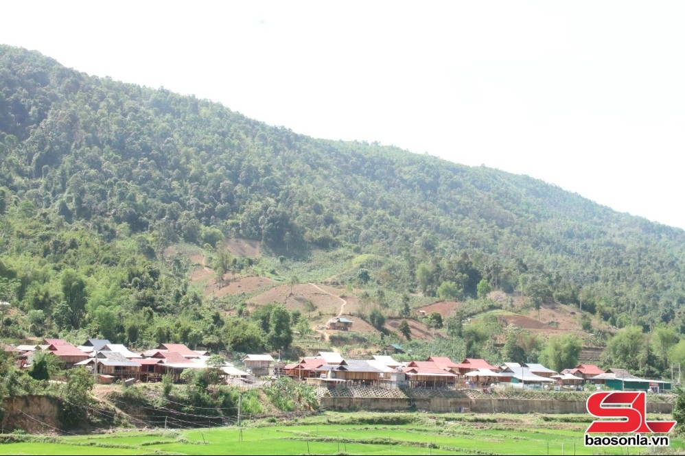 ca nang chuyen huong san xuat nong nghiep hinh anh 1