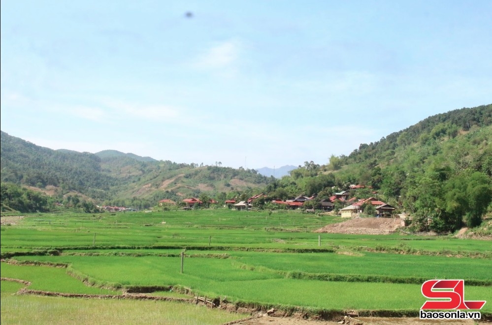 ca nang chuyen huong san xuat nong nghiep hinh anh 2