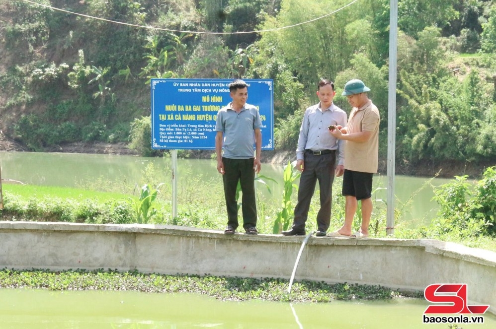 ca nang chuyen huong san xuat nong nghiep hinh anh 4