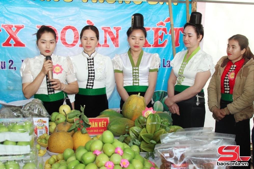 mường la đưa cây ăn quả lên vùng đất dốc hình ảnh 2 muong la dua cay an qua len vung dat doc hinh anh 2