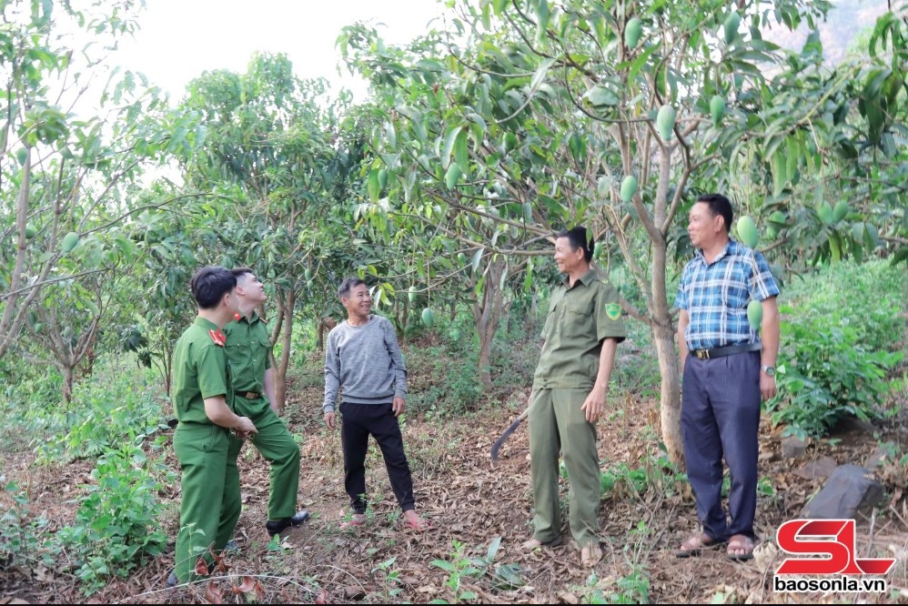 mường la đưa cây ăn quả lên vùng đất dốc hình ảnh 3 muong la dua cay an qua len vung dat doc hinh anh 3