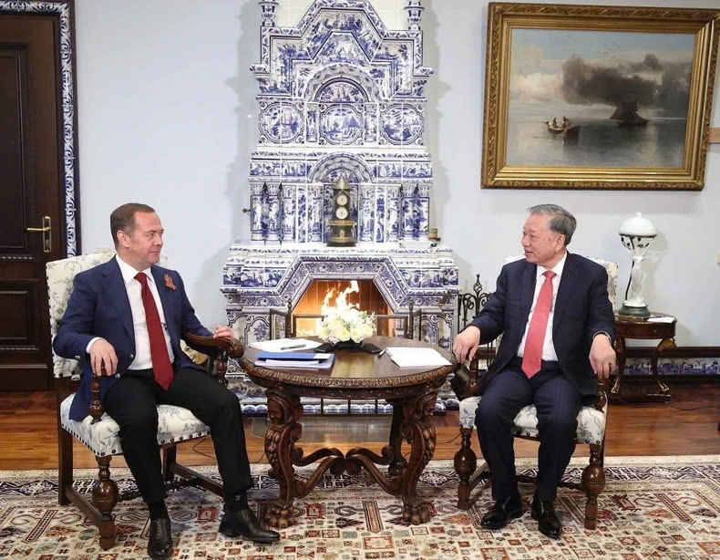 tong bi thu to lam hoi kien voi chu tich Dang nuoc nga thong nhat dmitry medvedev hinh anh 3