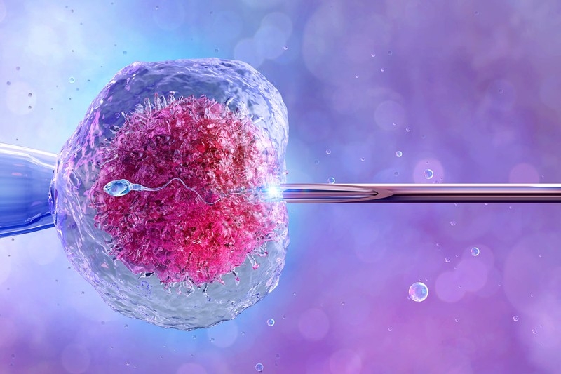 Tại sao phôi tốt nhưng vẫn không có thai khi làm IVF?
