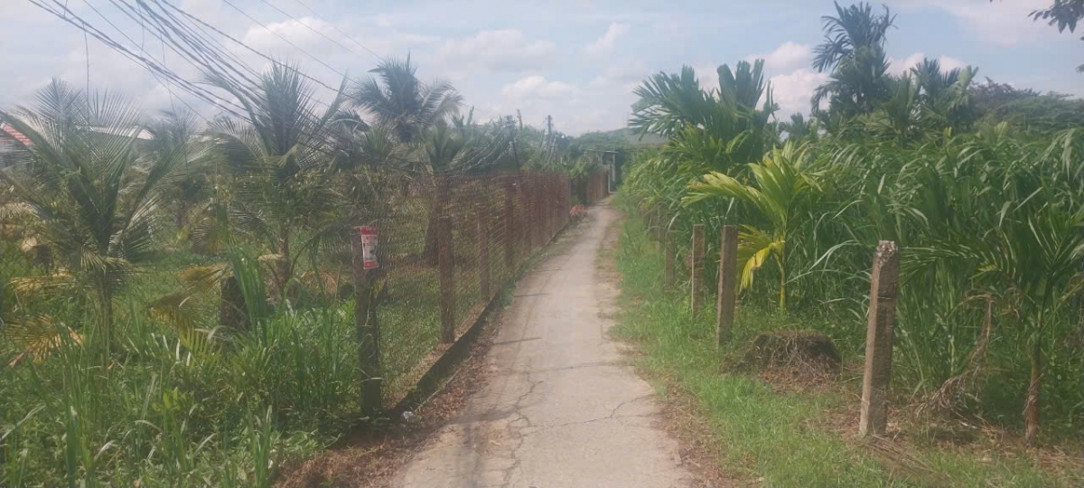 công an tỉnh tiền giang điều tra vụ cha sát hại con ruột hình ảnh 1 cong an tinh tien giang dieu tra vu cha sat hai con ruot hinh anh 1