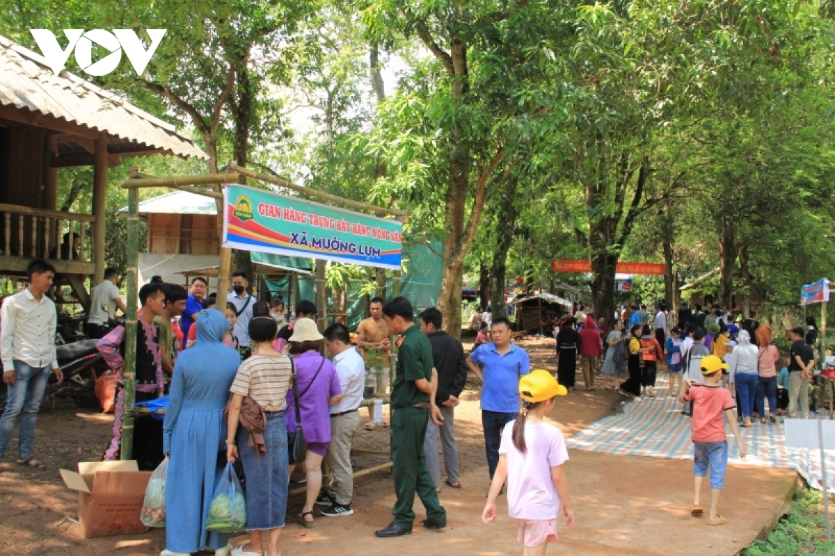 5 loại cây ở yên châu, sơn la sẽ được công nhận là cây di sản tại ngày hội xoài 2025 hình ảnh 1 5 loai cay o yen chau, son la se duoc cong nhan la cay di san tai ngay hoi xoai 2025 hinh anh 1