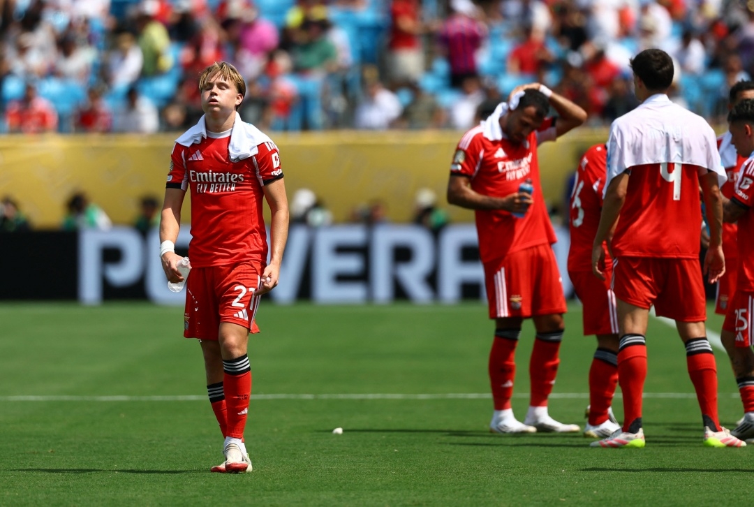 kết quả fifa club world cup 2025 rạng sáng 25 6 benfica soán ngôi bayern đầy kịch tính hình ảnh 27 ket qua fifa club world cup 2025 rang sang 25 6 benfica soan ngoi bayern day kich tinh hinh anh 27