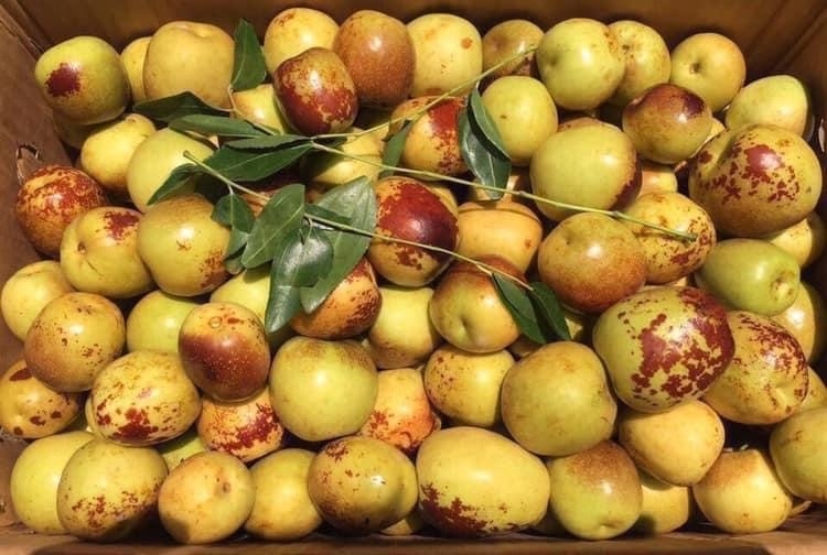 Hồng táo tươi giá “chát” vẫn đắt hàng