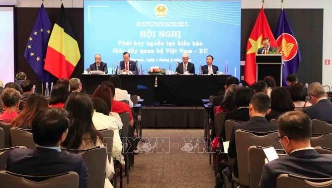 vilab rallies overseas experts to support vietnam s strategic development picture 1 vilab rallies overseas experts to support vietnam s strategic development picture 1