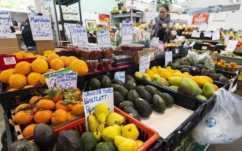 model helps boost vietnamese exports to canada picture 1