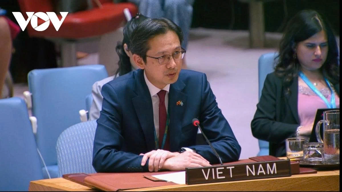 vietnam reaffirms commitment to children protection in armed conflict picture 1 vietnam reaffirms commitment to children protection in armed conflict picture 1