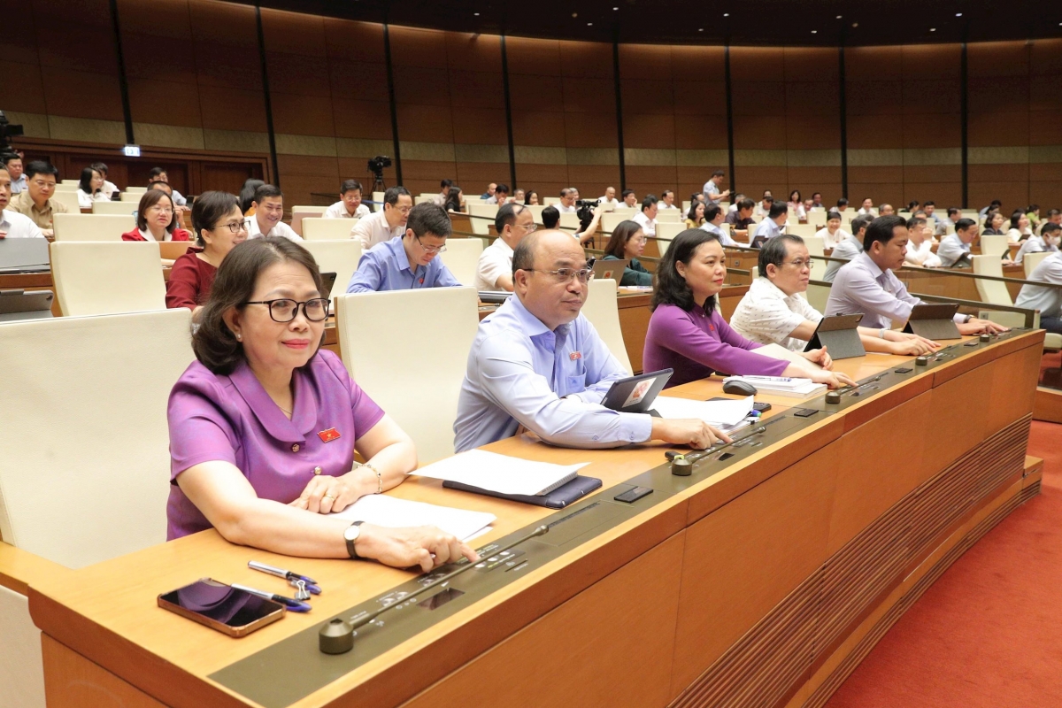 national assembly passes amended law on special consumption tax picture 1 national assembly passes amended law on special consumption tax picture 1