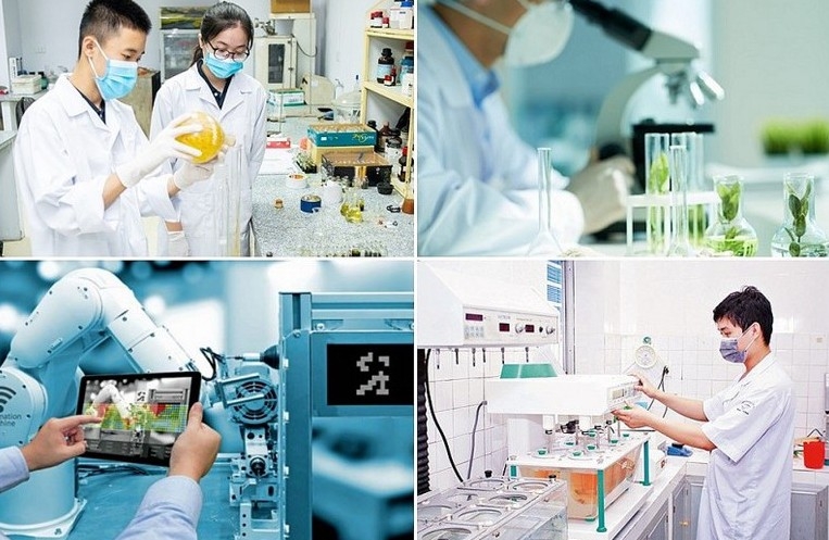vietnamese lecturers join russia s high-tech summer training program picture 1