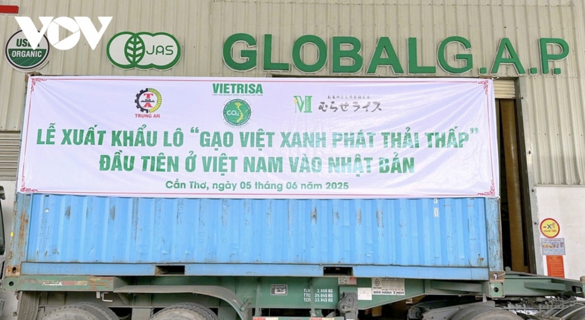 vietnam ships first batch of low-emission rice to japan picture 1 vietnam ships first batch of low-emission rice to japan picture 1