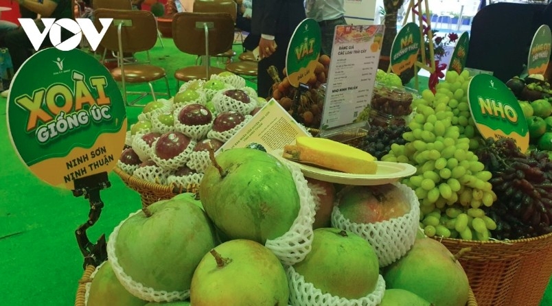 Fruit and vegetable exports to EU soar 33% in four months