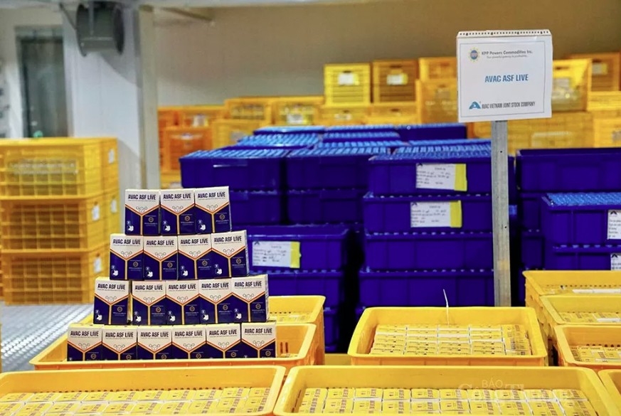 vietnam to soon export first batch of asf vaccine to indonesia picture 1