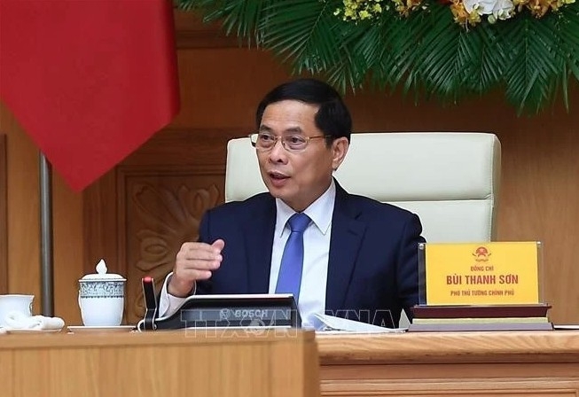 deputy pm meets with global vietnamese scientists, experts picture 1 deputy pm meets with global vietnamese scientists, experts picture 1