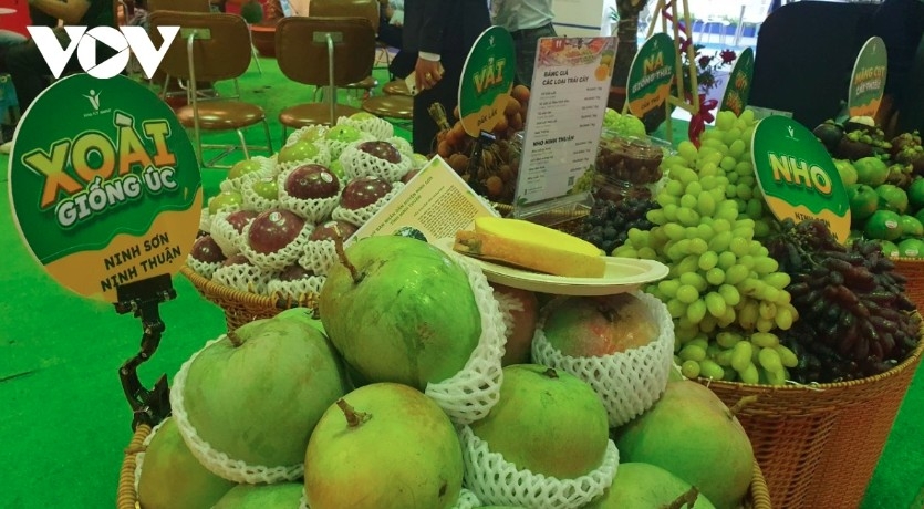 fruit and vegetable exports to eu soar 33 in four months picture 1