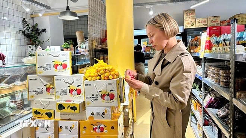 vietnam s fresh lychees hit french market for 2025 season picture 1 vietnam s fresh lychees hit french market for 2025 season picture 1