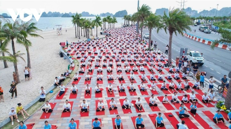 thousands join mass yoga sessions at dawn in da nang and ha long picture 1 thousands join mass yoga sessions at dawn in da nang and ha long picture 1