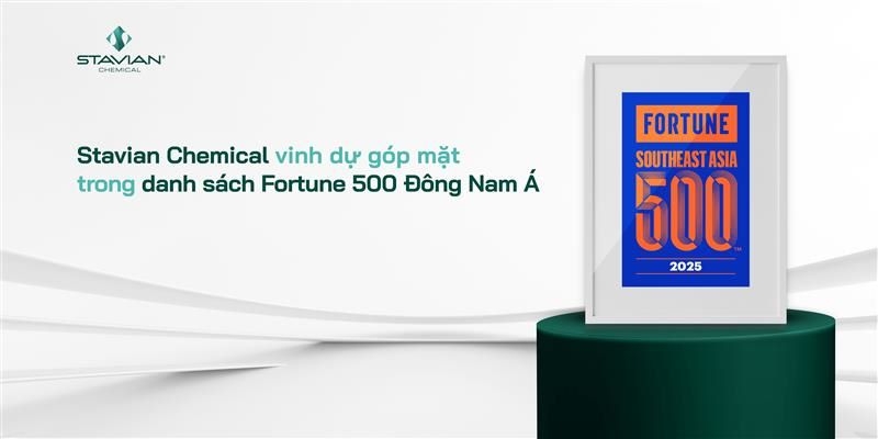 Fortune vinh danh Stavian Hóa chất Top 219 doanh nghiệp lớn nhất Đông Nam Á năm 2025