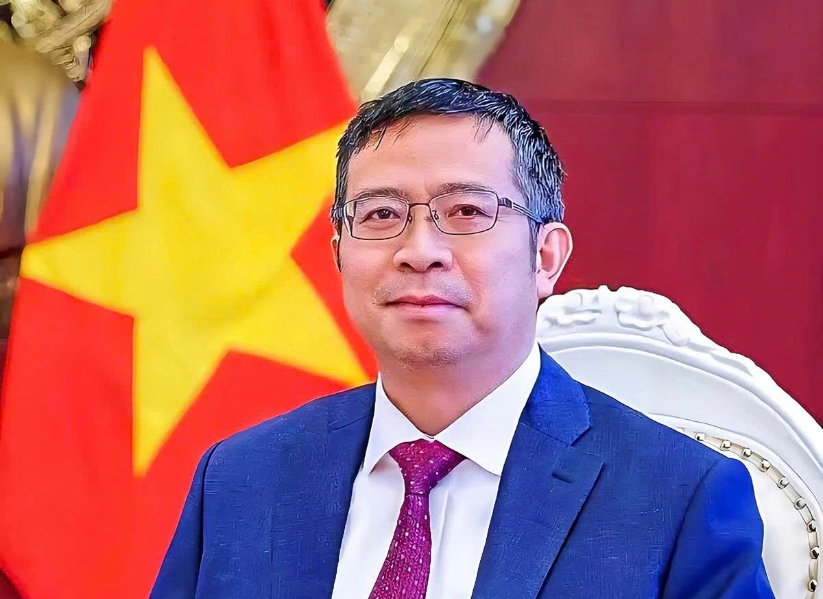 vietnam eyes deeper cooperation at wef tianjin 2025, says ambassador picture 1 vietnam eyes deeper cooperation at wef tianjin 2025, says ambassador picture 1