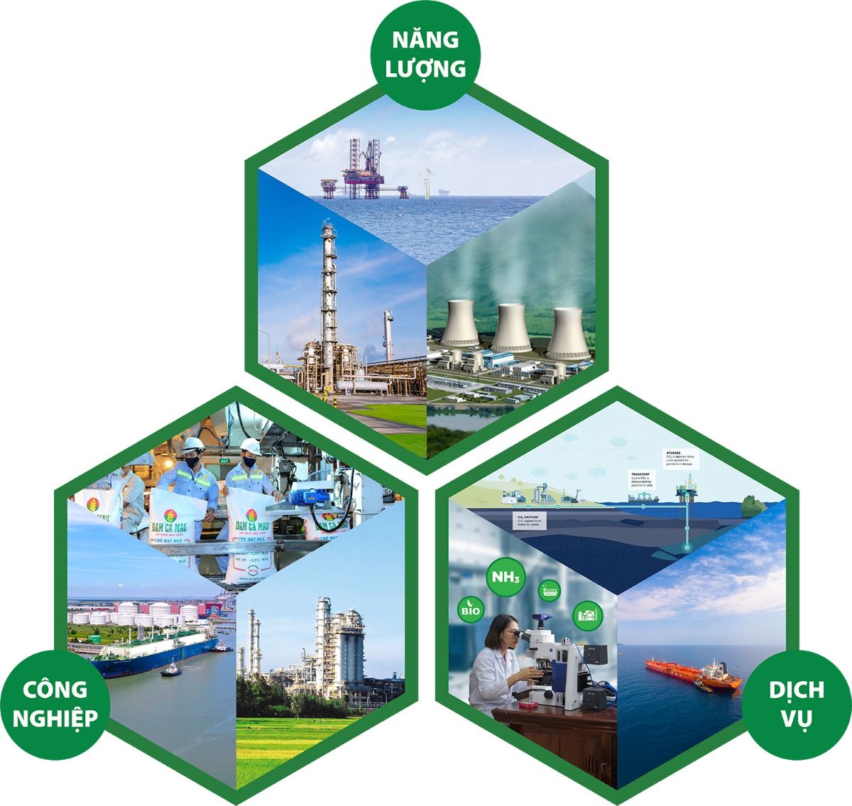 petrovietnam đứng thứ 11 trong bảng xếp hạng fortune southeast asia 500 hình ảnh 2 petrovietnam dung thu 11 trong bang xep hang fortune southeast asia 500 hinh anh 2