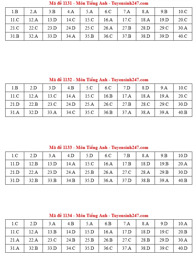 huong dan giai de thi mon thi tieng anh tot nghiep thpt 2025 hinh anh 9
