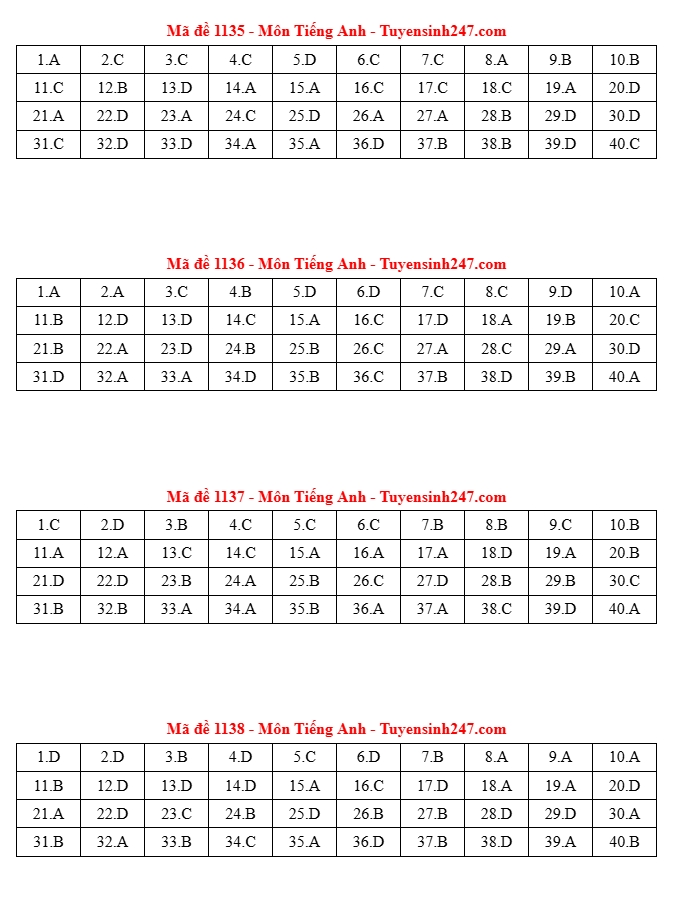 huong dan giai de thi mon thi tieng anh tot nghiep thpt 2025 hinh anh 10