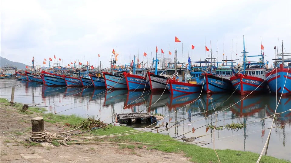xuất hiện vùng áp thấp trên biển Đông hình ảnh 1 xuat hien vung ap thap tren bien Dong hinh anh 1