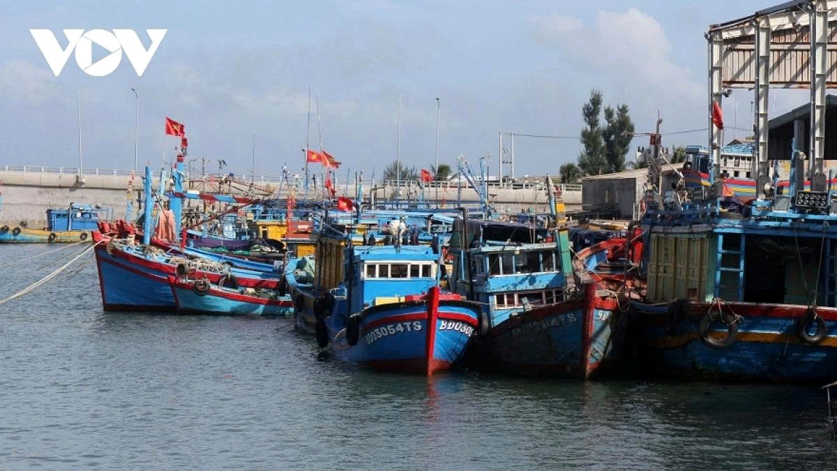 vietnam targets complete removal of iuu yellow card picture 2 vietnam targets complete removal of iuu yellow card picture 2