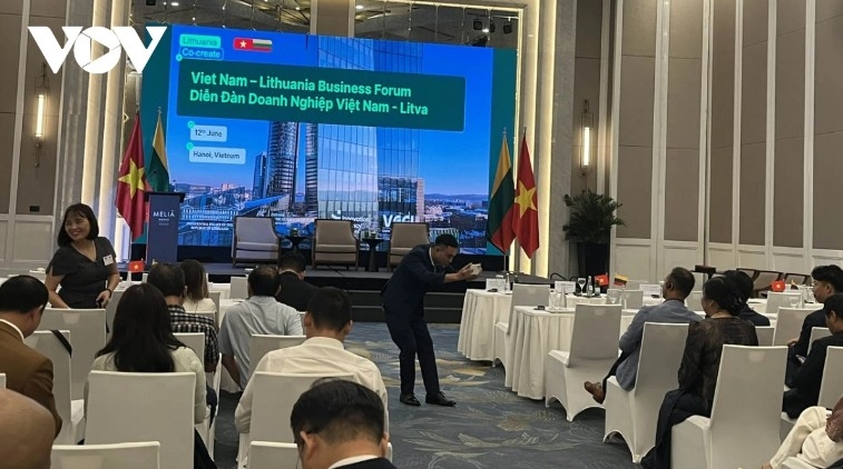 business forum aims to revitalize modest vietnam-lithuania trade picture 1