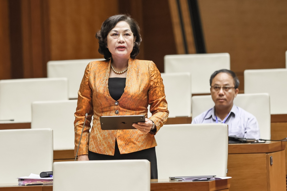 thống đốc nguyễn thị hồng cần làm mới động lực tăng trưởng để bứt phá hình ảnh 1 thong doc nguyen thi hong can lam moi dong luc tang truong de but pha hinh anh 1