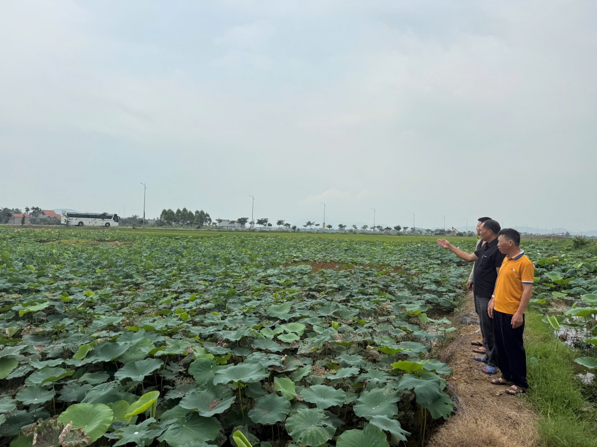 bình lục hạ học bác được cụ thể hóa bằng hành động, nâng cao chất lượng cuộc sống hình ảnh 1 binh luc ha hoc bac duoc cu the hoa bang hanh dong, nang cao chat luong cuoc song hinh anh 1