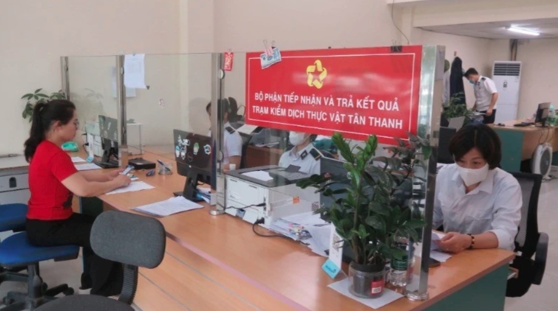 vietnam steps up border clearance for agricultural product exports picture 1 vietnam steps up border clearance for agricultural product exports picture 1