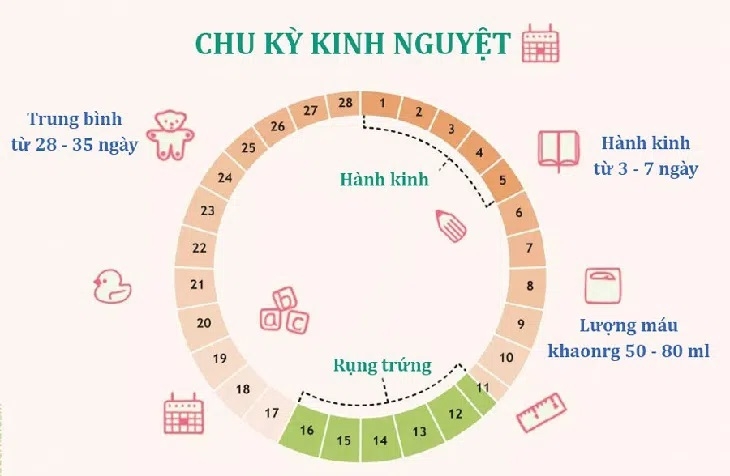 Kỳ kinh nguyệt của tôi bị rối loạn sau khi kết hôn