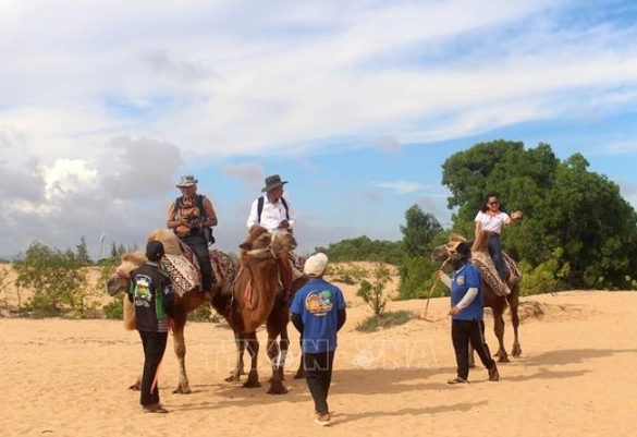 awakening binh thuan s tourism potential through cinema picture 2 awakening binh thuan s tourism potential through cinema picture 2