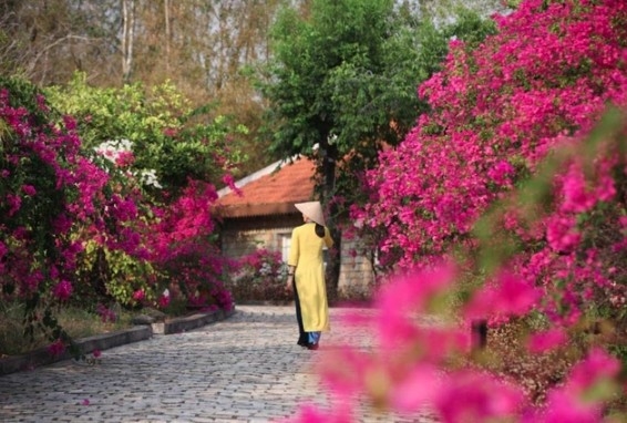 booking.com names five top destinations in vietnam for sustainable travel picture 1 booking.com names five top destinations in vietnam for sustainable travel picture 1