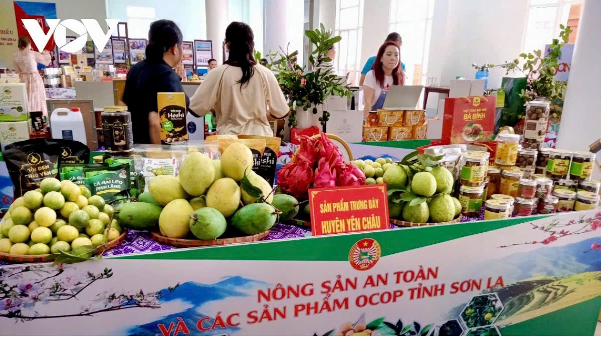 sơn la phát triển sản phẩm ocop chất lượng, bền vững hình ảnh 2 son la phat trien san pham ocop chat luong, ben vung hinh anh 2