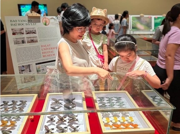 da nang exhibition features rare insects endemic to vietnam picture 1 da nang exhibition features rare insects endemic to vietnam picture 1