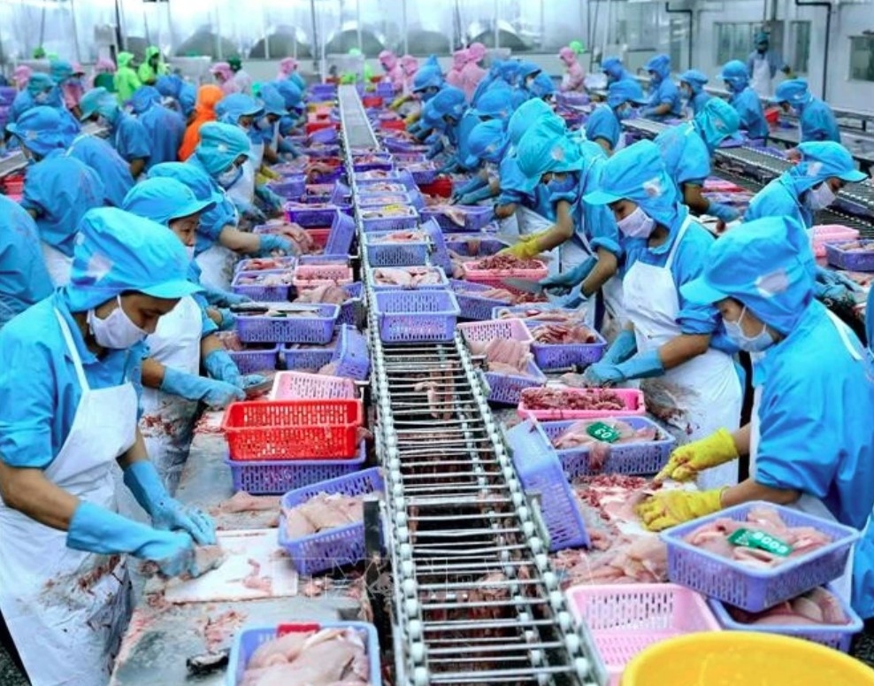 vietnam taps halal market to boost agricultural exports picture 1