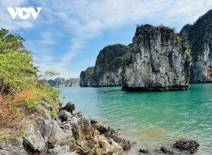 ha long bay named among top 15 must-see seaside views worldwide picture 1 ha long bay named among top 15 must-see seaside views worldwide picture 1