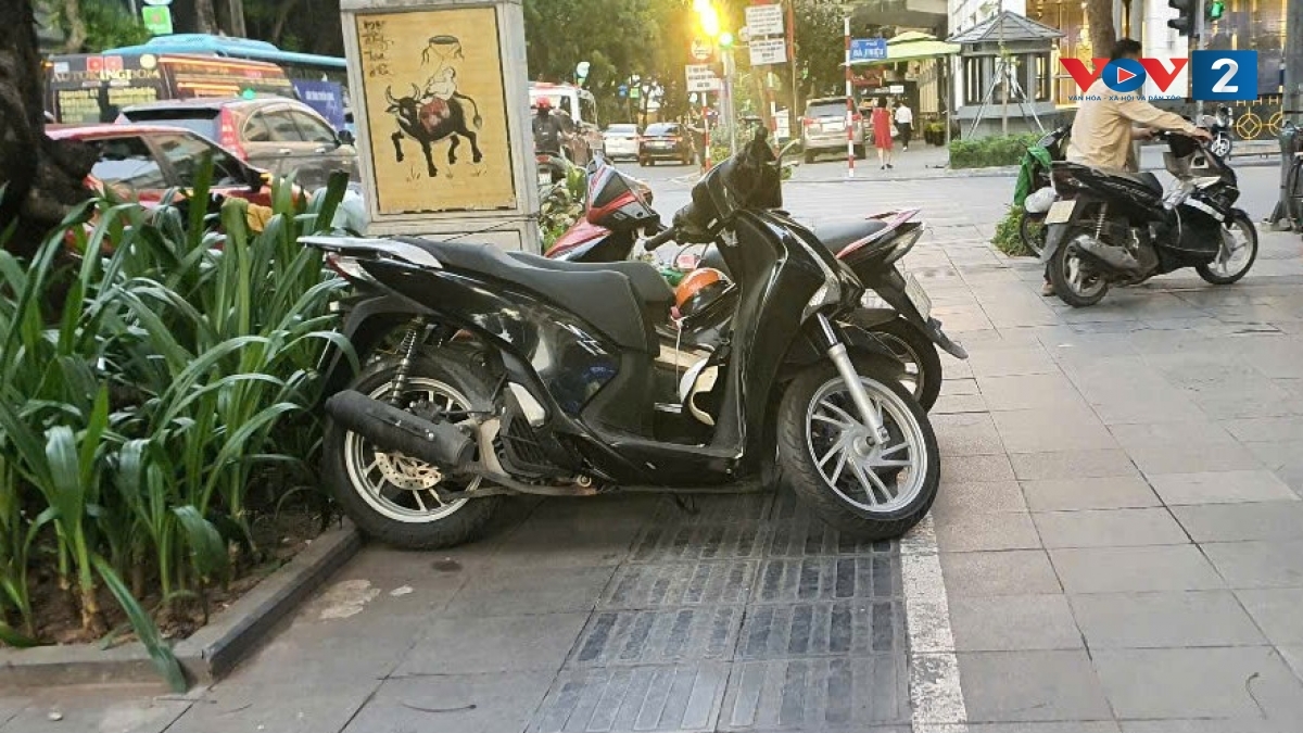 mở cánh cửa hòa nhập cho người khuyết tật hình ảnh 3 mo canh cua hoa nhap cho nguoi khuyet tat hinh anh 3