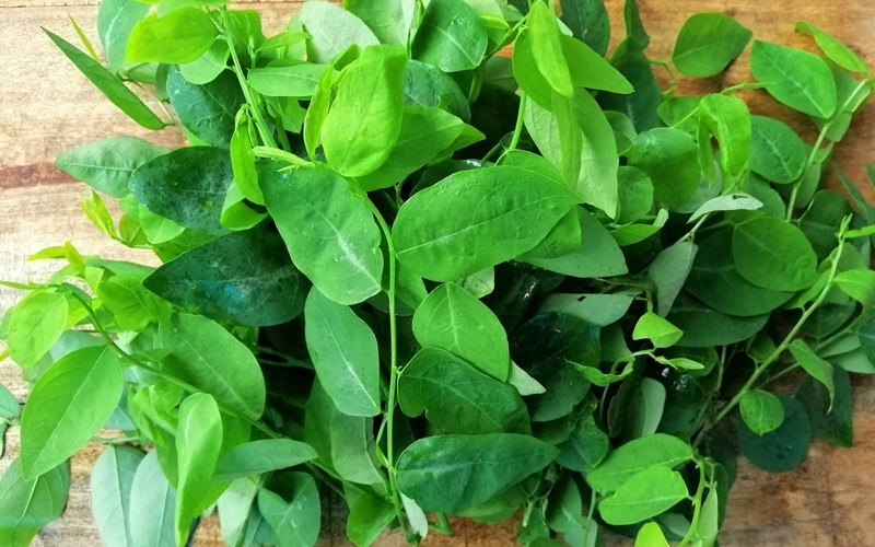 Loại rau “kho chứa sắt” giá chỉ vài nghìn đồng, bán đầy chợ
